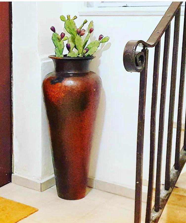 Amalo Guest House Bari Dış mekan fotoğraf